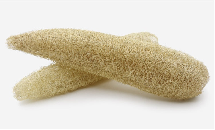 Natural Loofah